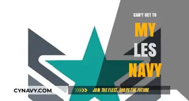 Troubleshooting Access Issues: Can't Get to My Les Navy Account