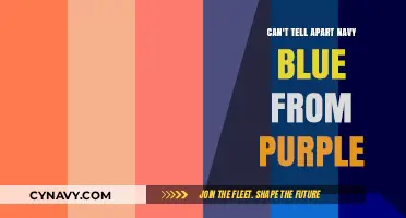 Decoding Darkness: The Eternal Struggle Between Navy Blue and Purple