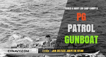 Could a Navy LSD Ship Carry a PG Patrol Gunboat?