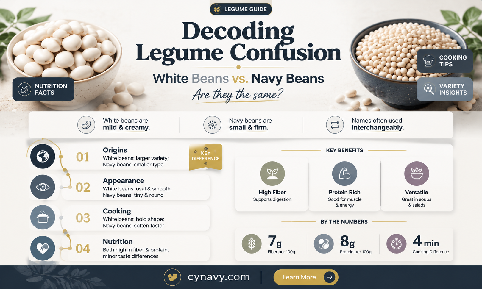 are white beans navy beans