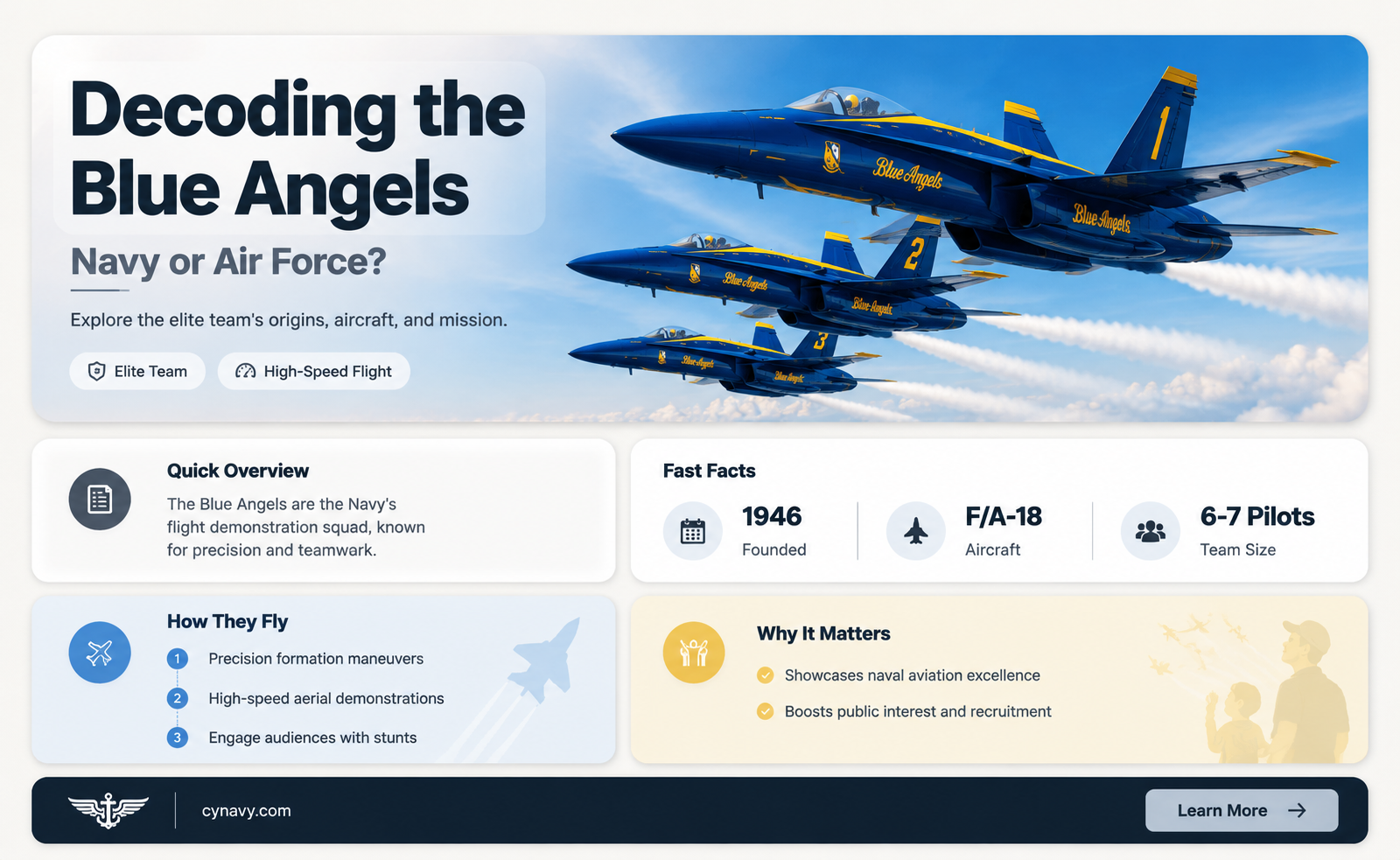are the blue angels navy or air force