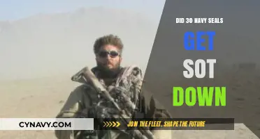 Navy SEALs Ambush: Unraveling the Truth Behind the Fatal Shootout