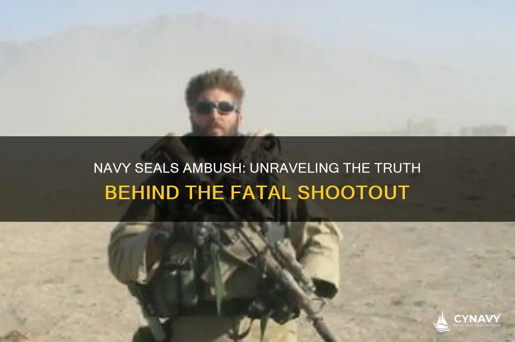did 30 navy seals get sot down