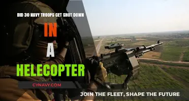 Navy Helicopter Tragedy: Unraveling the Truth Behind the Fatal Shooting