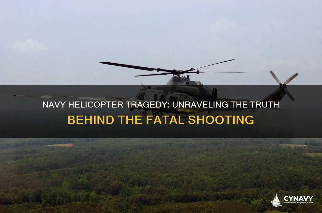 did 30 navy troops get shot down in a helecopter