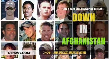Navy SEAL Helicopter Downed in Afghanistan: Unraveling the Incident