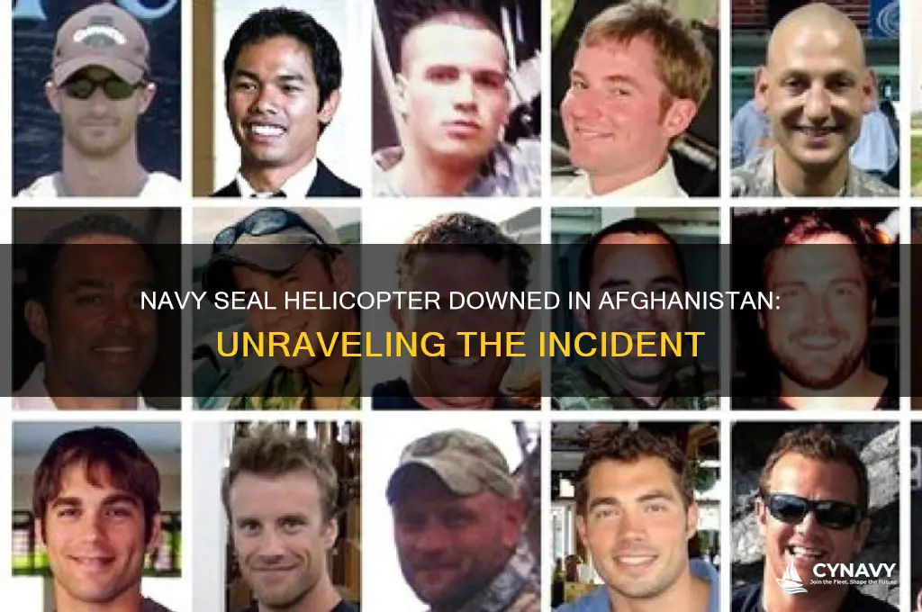 did a navy seal helicopter get shot down in afghanistan
