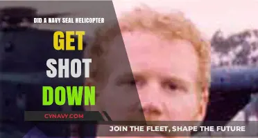 Was a Navy SEAL Helicopter Shot Down? Uncovering the Truth