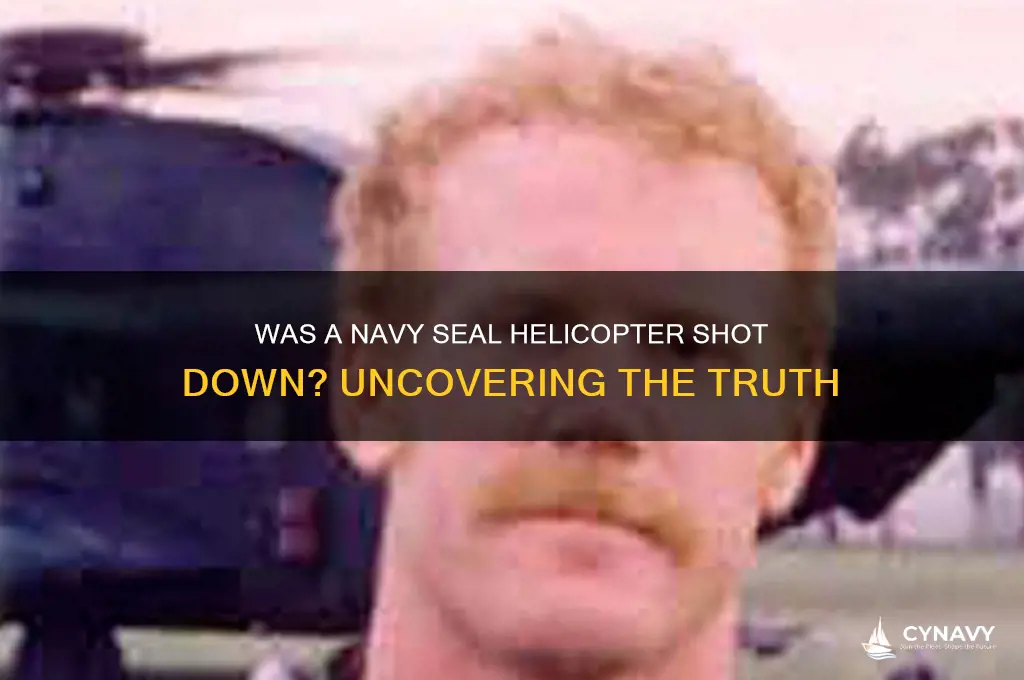 did a navy seal helicopter get shot down