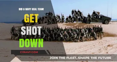 Navy SEAL Team Down: Unraveling the Truth Behind the Incident