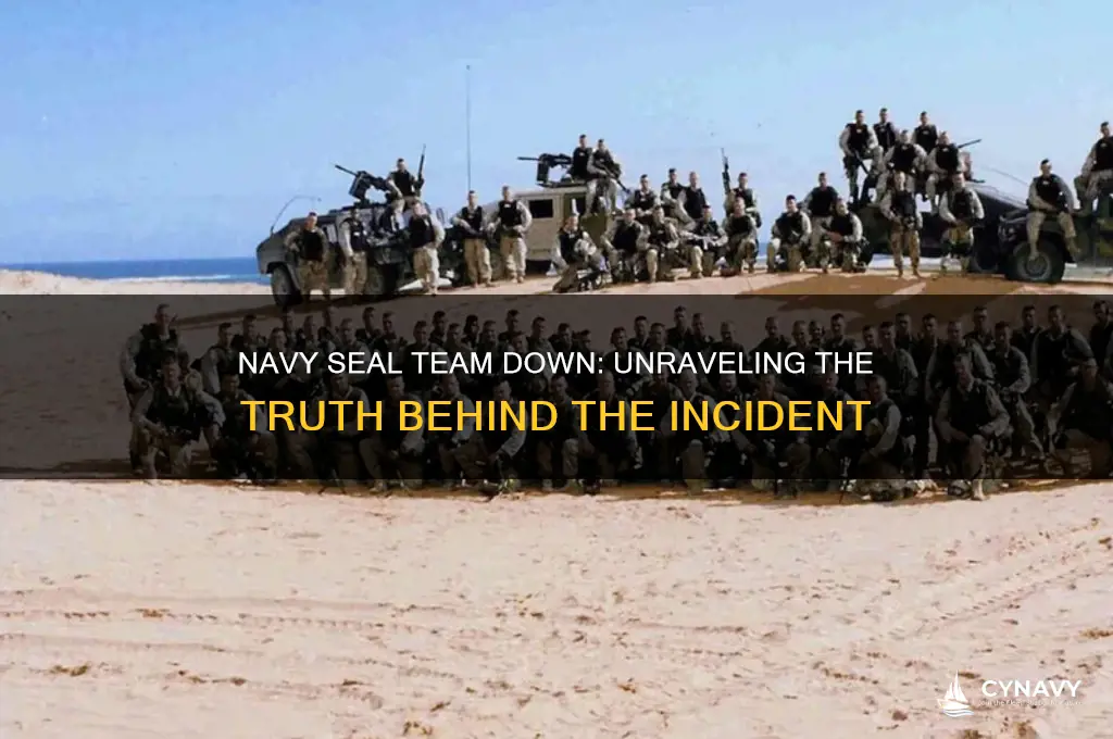 did a navy seal team get shot down