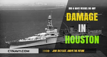 Houston Incident: Assessing Navy Vessel's Impact on the City