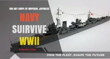 Survivors of the Sea: Imperial Japanese Navy Ships Post-WWII