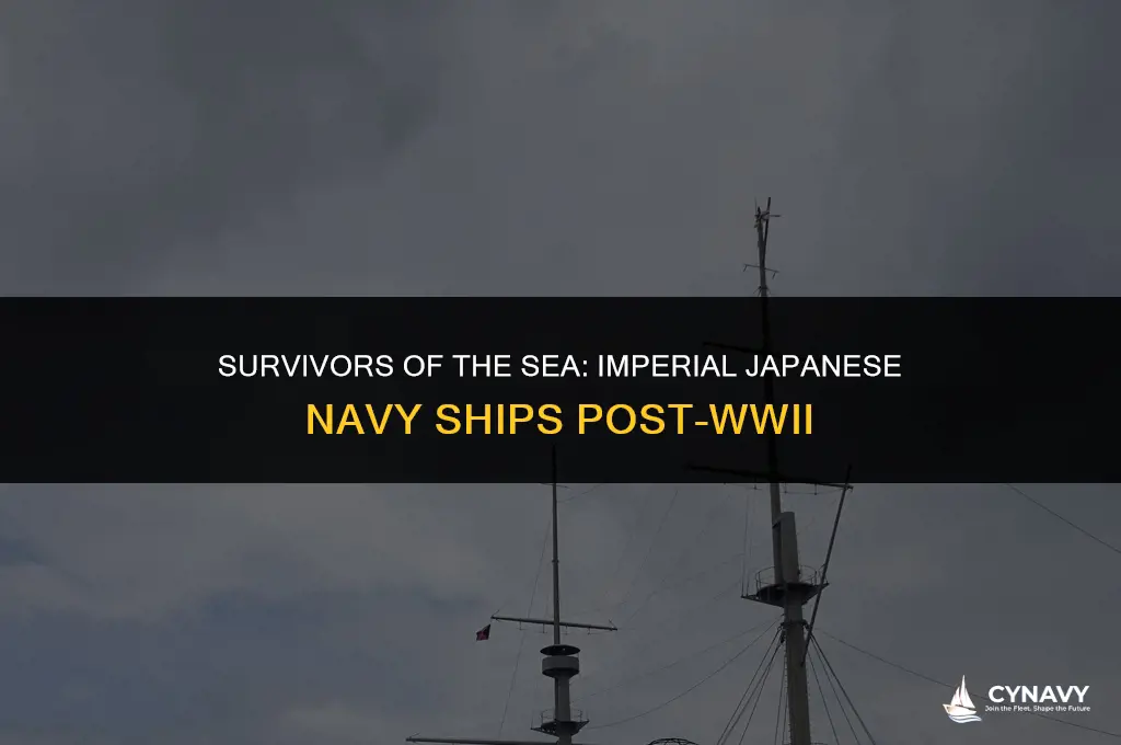 did any ships of imperial japanese navy suirvive wwii