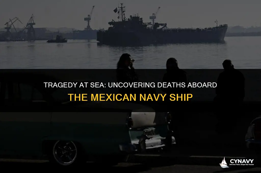 did anyone die on the mexican navy ship