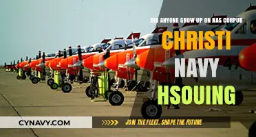 Nostalgia in Navy Housing: Growing Up on NAS Corpus Christi