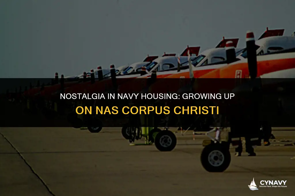 did anyone grow up on nas corpur christi navy hsouing