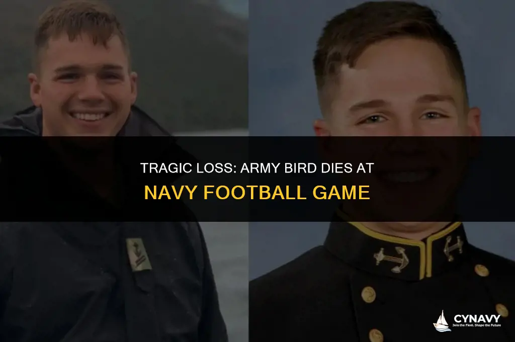 did army bird die navy football
