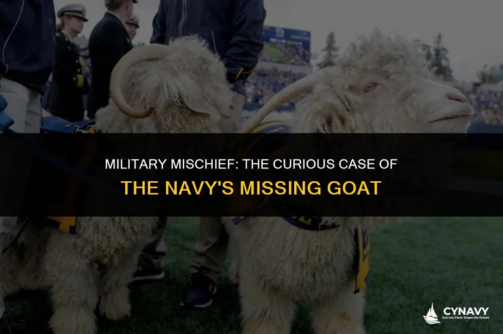 did army steal navy