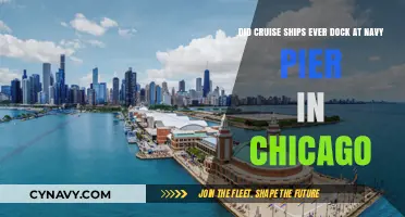 Exploring Chicago's Navy Pier: A History of Cruise Ship Dockings