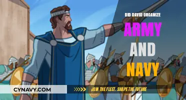 David's Military Might: Organizing Army and Navy Forces