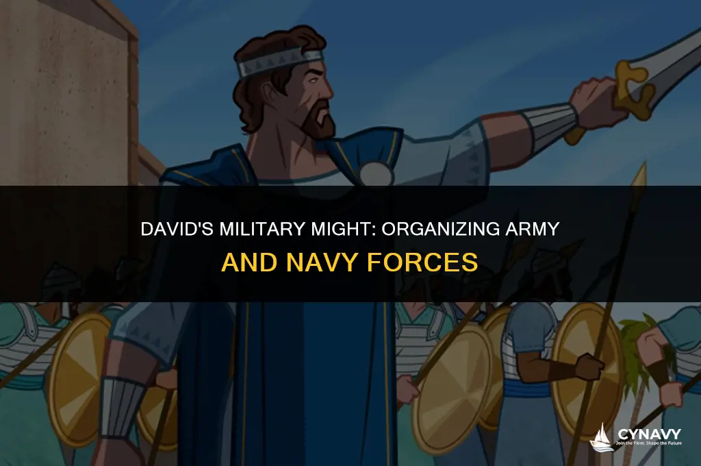 did david organize army and navy