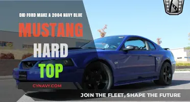 Exploring the Rare 2004 Ford Mustang Hardtop in Navy Blue