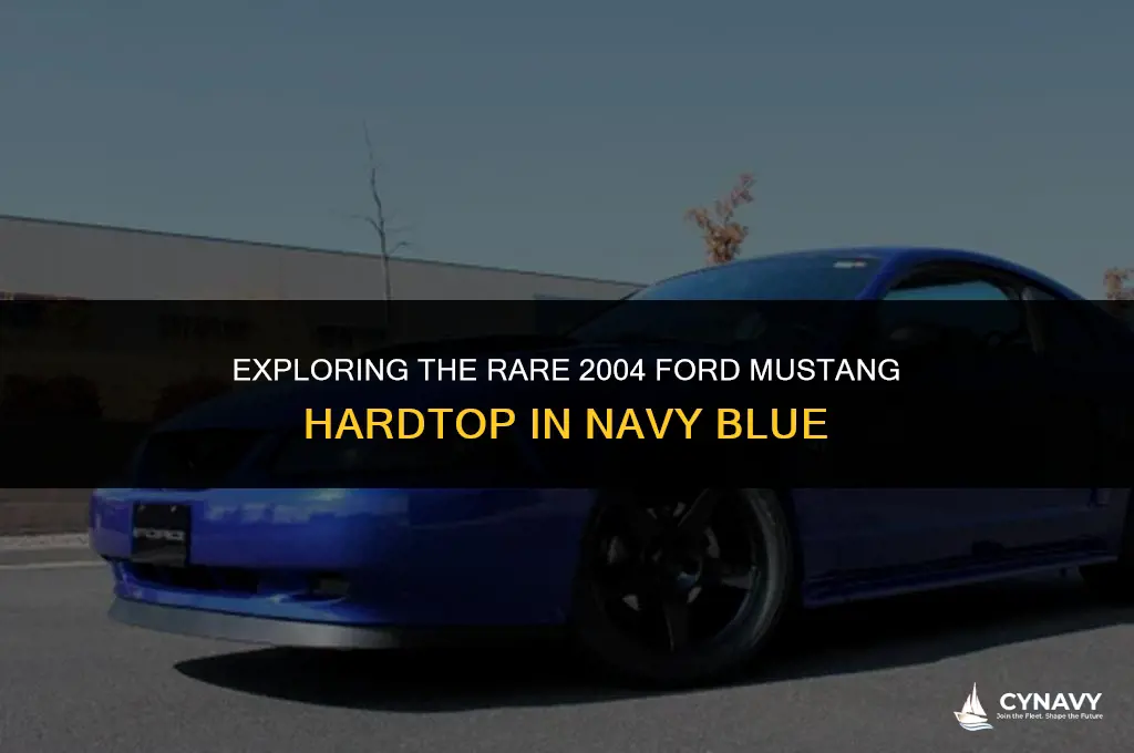 did ford make a 2004 navy blue mustang hard top