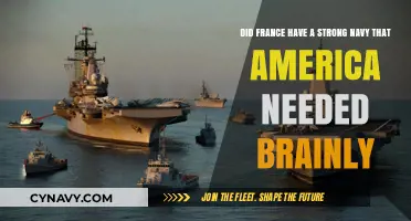 France's Naval Might: A Crucial Ally for America's Maritime Ambitions