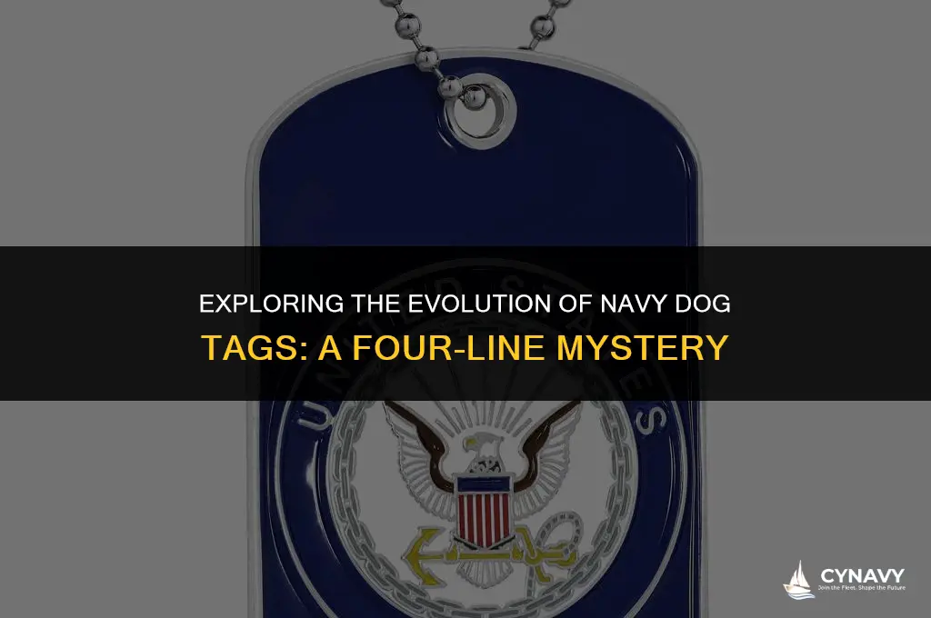 did navy dog tags ever have only 4 lines