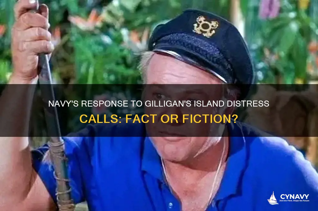 did navy get calls regarding gilligans island