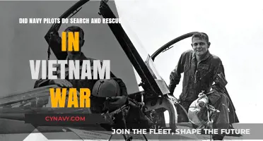 Valor Beyond Combat: Navy Pilots' Search and Rescue Missions in Vietnam