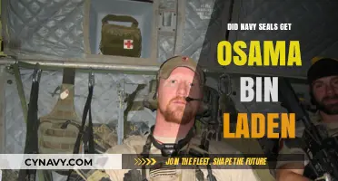 Unveiling the Truth: Navy SEALs' Mission to Capture Osama bin Laden