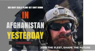 Navy SEALs Plane Shot Down in Afghanistan: What Happened Yesterday?