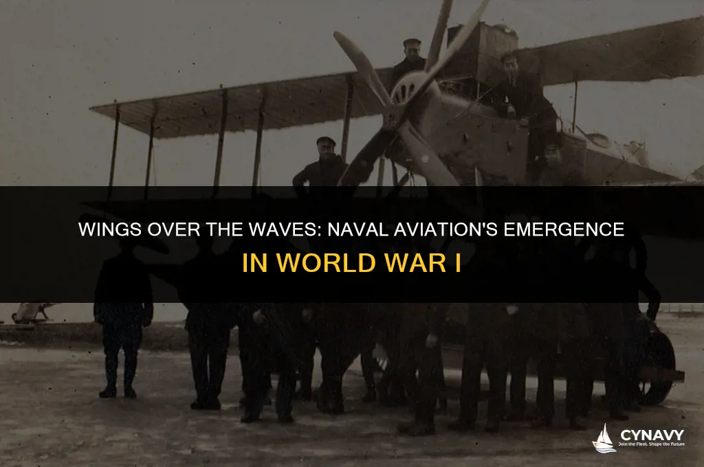 did navy ships have aircraft in ww1
