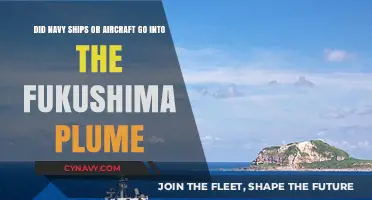 Fukushima Fallout: Navy Ships and Aircraft Exposure Revealed