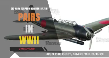 Torpedo Bombers in WWII: The Strategic Pairing of Navy Aircraft