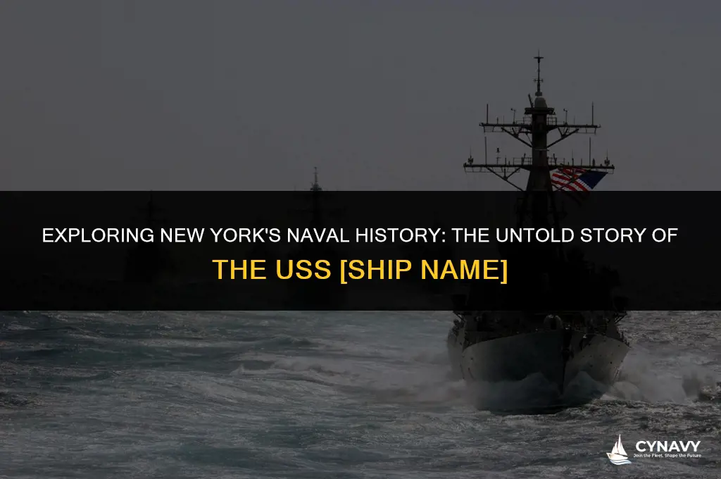 did new york use the navy ship