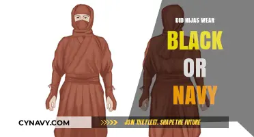 Unveiling the Truth: Ninja Attire - Black or Navy?