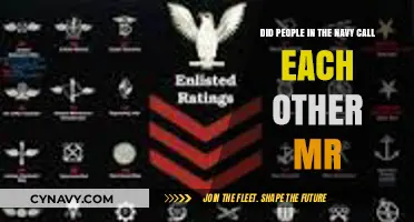 Rank and Respect: The Etiquette of Addressing Navy Personnel