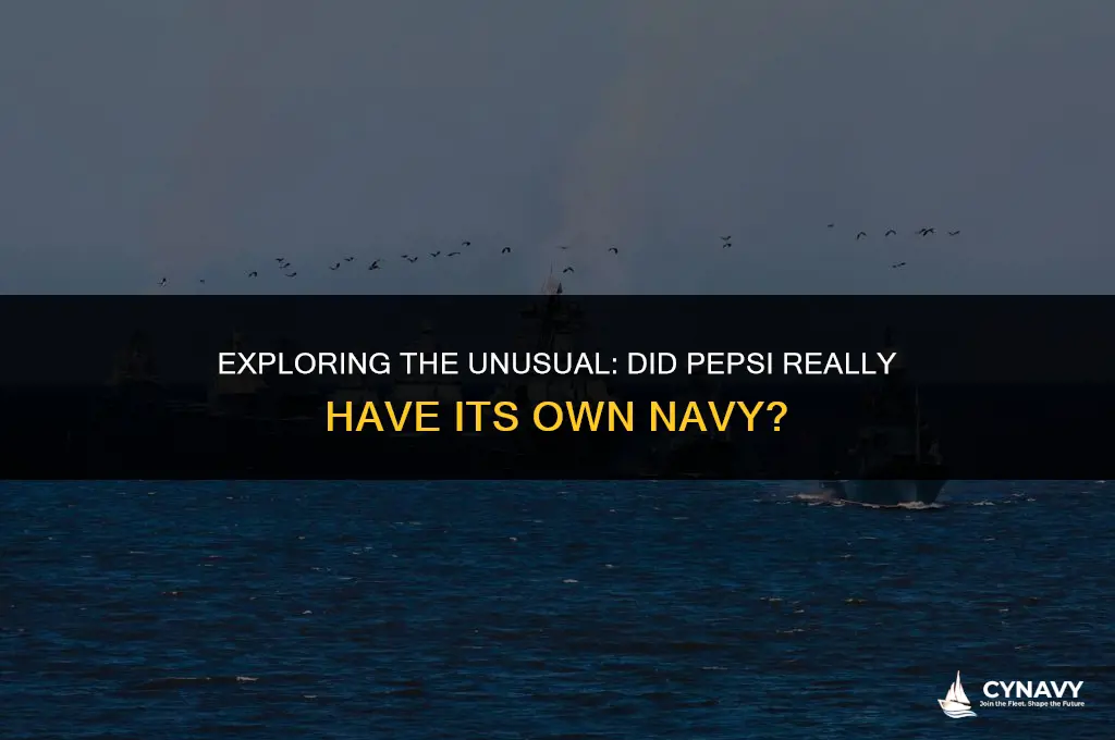 did pepsi have a navy