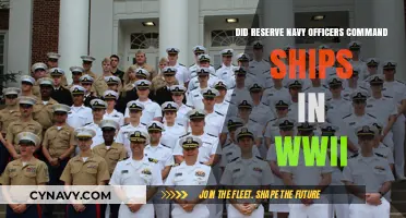 Reserve Navy Officers: Ship Commanders in WWII?