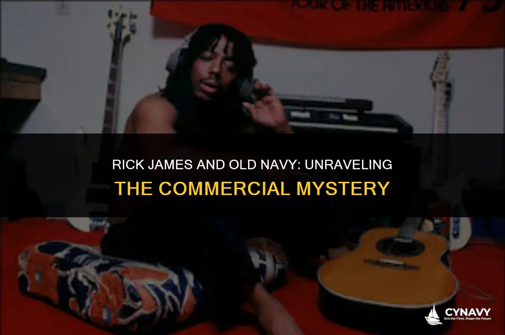 did rick james do an old navy commercial