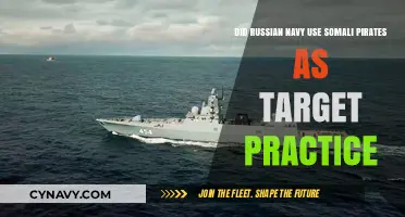 Somali Pirates as Target Practice: Allegations Against Russian Navy