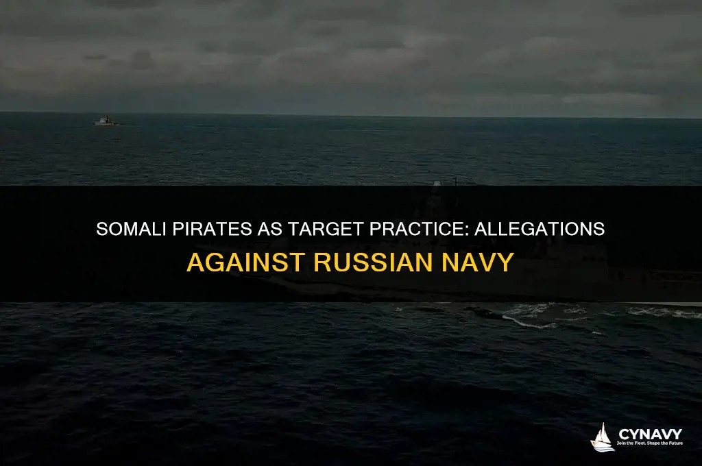 did russian navy use somali pirates as target practice