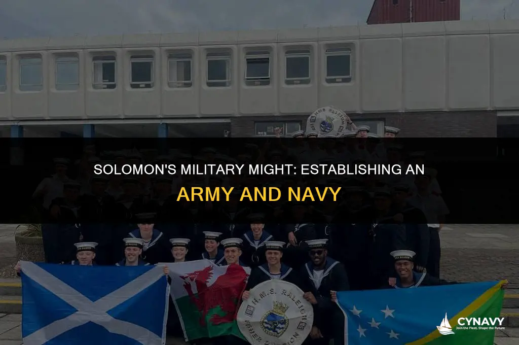 did solomon establish an army and navy