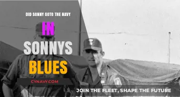 Exploring Sonny's Military Past: Navy or Not in 'Sonny's Blues'?
