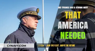 France's Naval Might: An Ally America Couldn't Afford to Ignore