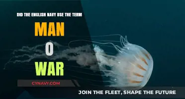 Exploring Naval Terminology: The Origin and Usage of 'Man-of-War