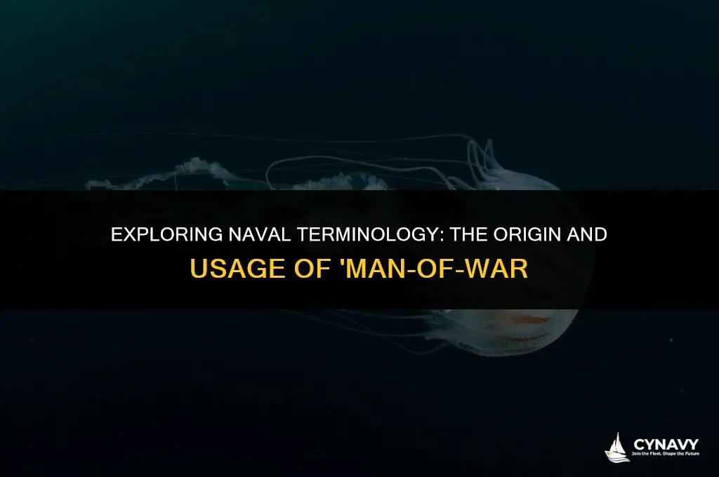 did the english navy use the term man o war